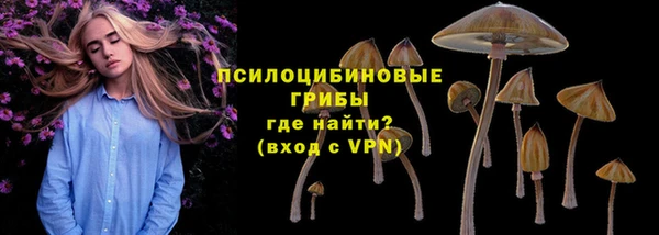 меф Белокуриха