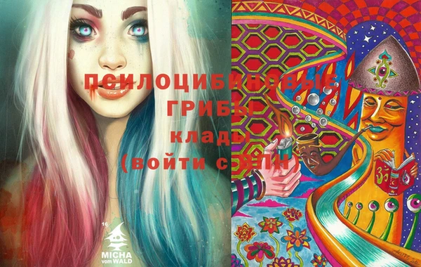 меф Белокуриха
