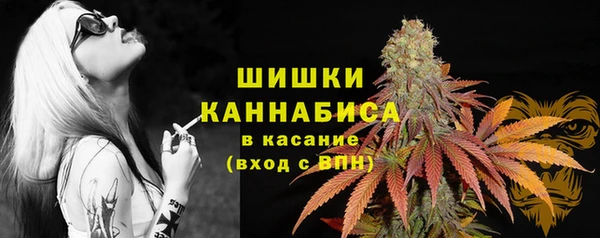 меф Белокуриха