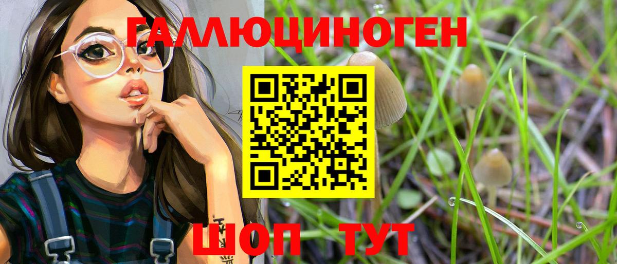 Луховицы  Псилоцибиновые грибы Cubensis  где купить   Вход с VPN 